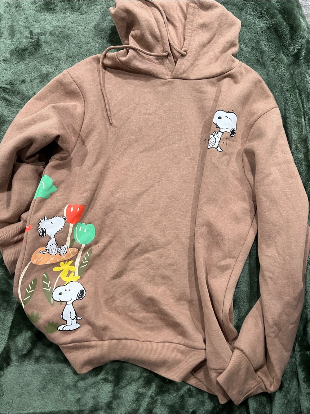 Peanuts Brown Snoopy Graphic Hoodie